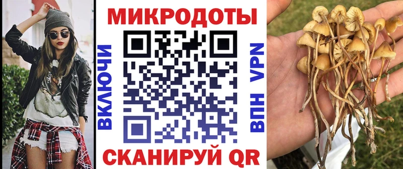 Купить Красавино Псилоцибиновые грибы мицелий